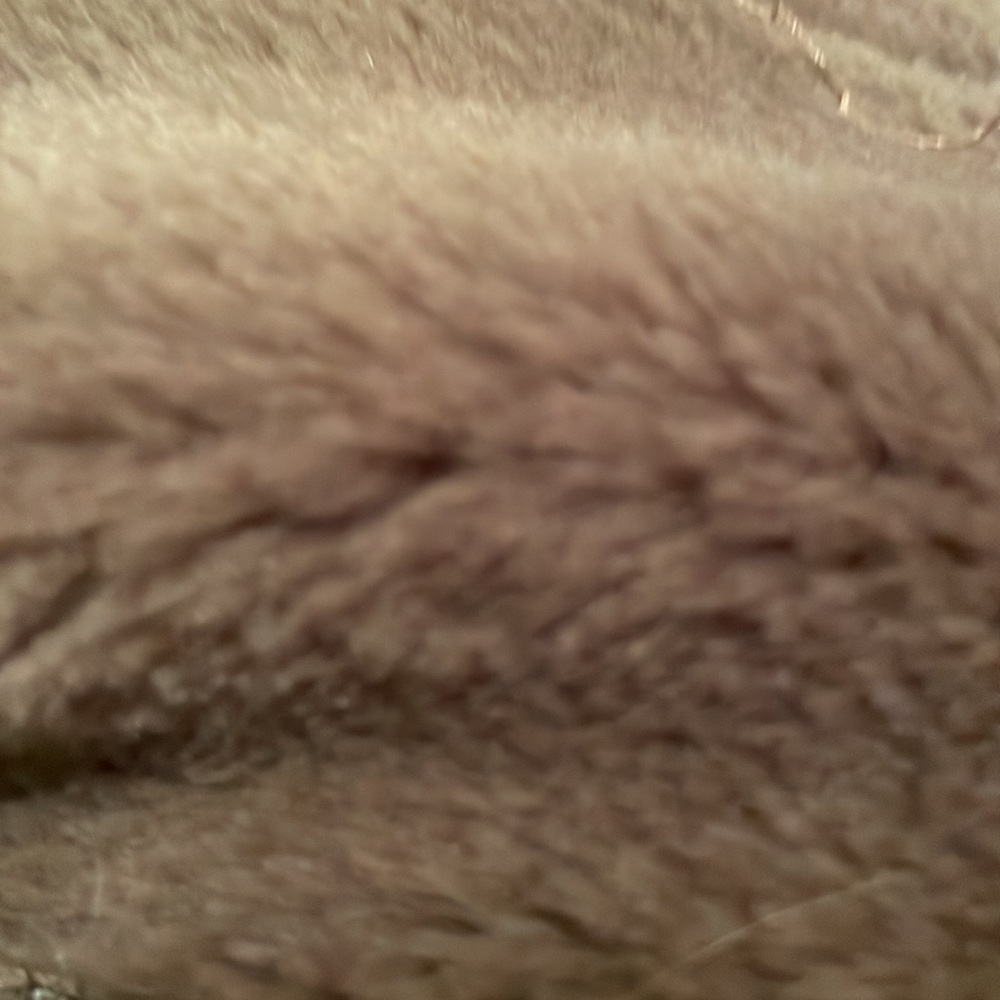 Ann Taylor coat - Picture 2 of 7